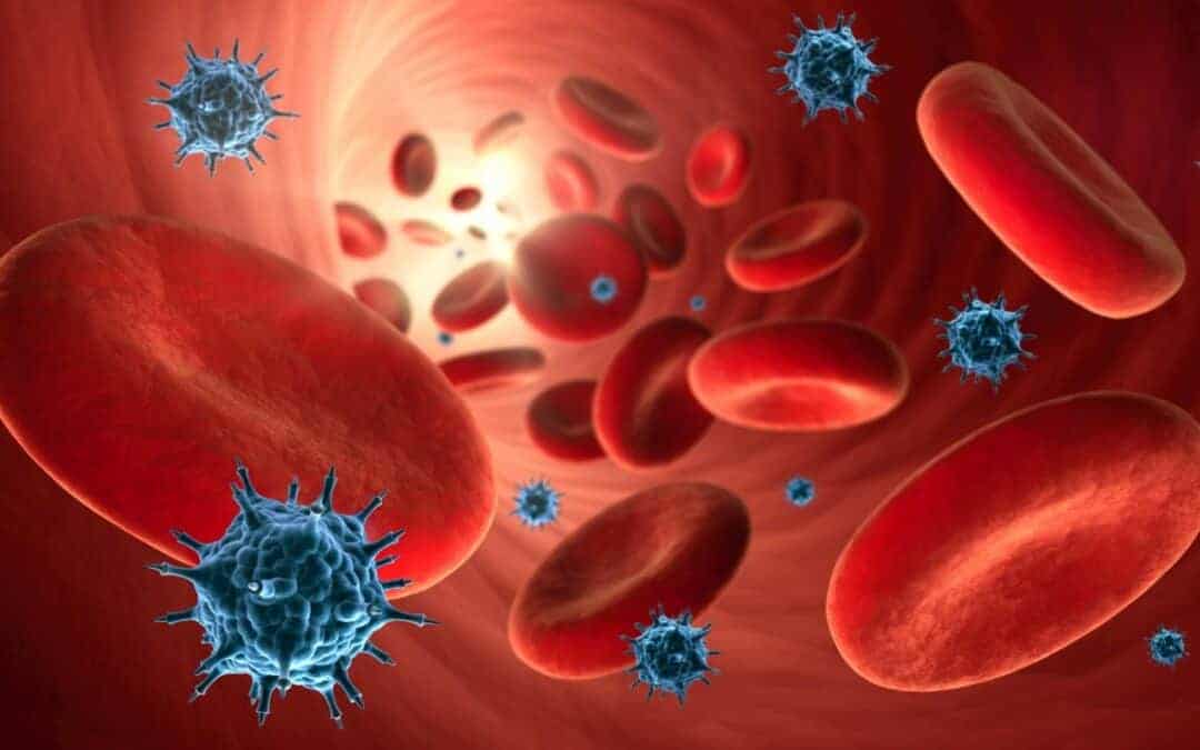 Immunsystem stärken bei HPU