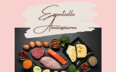 Eiweiß und Aminosäuren bei HPU