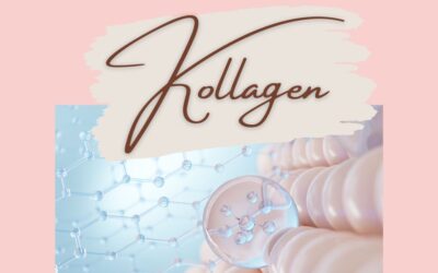 Straffes Bindegewebe bei HPU: Kollagen, aber welches?