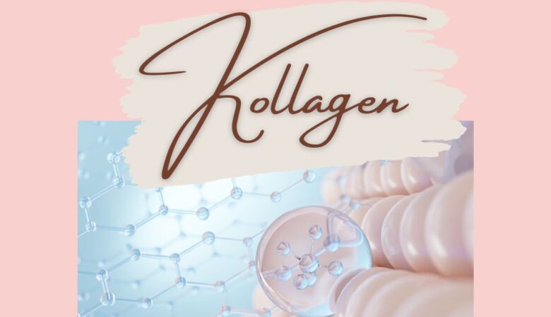 Straffes Bindegewebe bei HPU: Kollagen, aber welches?