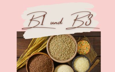 Warum B1 und B3 für deine Energie mitentscheidend sind